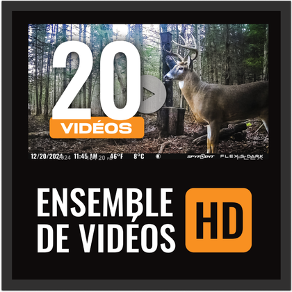 Vid&eacute;o Full-HD sur demande